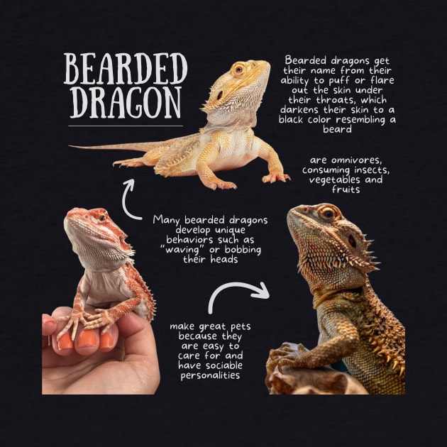 Animal Facts - Bearded Dragon by Animal Facts and Trivias